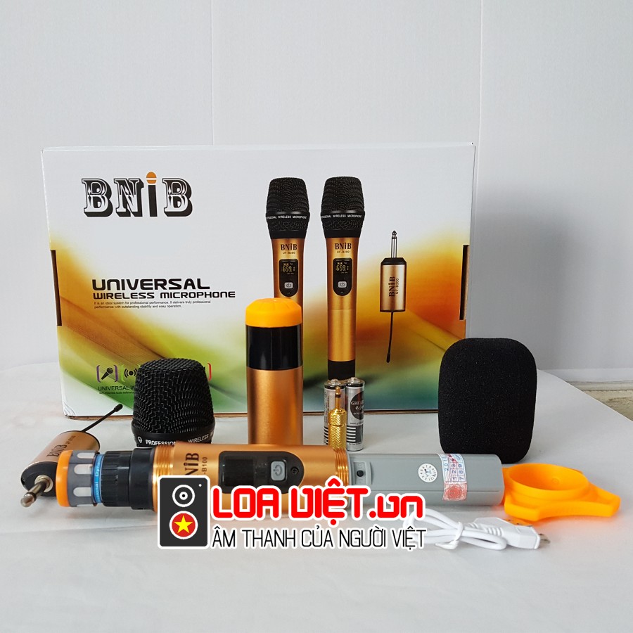 Micro không dây BNIB B100 